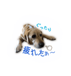 ミニーさん@DKF（個別スタンプ：16）