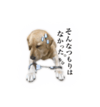 ミニーさん@DKF（個別スタンプ：19）