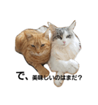 もふねこみるくと茶とらのチロル（個別スタンプ：24）