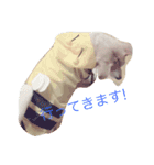 いつもの犬。(凛)（個別スタンプ：6）