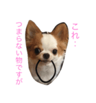 ぷこたんぐーたらスタンプ（個別スタンプ：4）