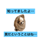 ぷこたんぐーたらスタンプ（個別スタンプ：6）
