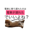 ぷこたんぐーたらスタンプ（個別スタンプ：8）
