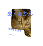 関西弁のテツ＆エース（個別スタンプ：7）
