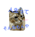 関西弁Vo.2（個別スタンプ：3）