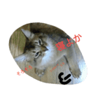 関西弁Vo.2（個別スタンプ：5）