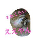 関西弁Vo.2（個別スタンプ：6）