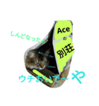 関西弁Vo.2（個別スタンプ：8）