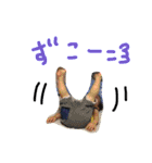 あさぴの気持ち1（個別スタンプ：28）