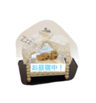 指先ワンコ(○○中！)（個別スタンプ：2）
