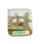 指先ワンコ(○○中！)（個別スタンプ：4）