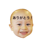 つばきくん（個別スタンプ：1）