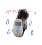 色んなめい言葉（個別スタンプ：16）