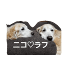 nico＆laugh（個別スタンプ：5）