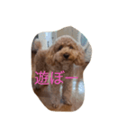 Cutie  Amber（個別スタンプ：7）