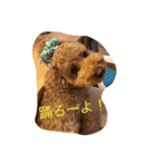 Cutie  Amber（個別スタンプ：8）