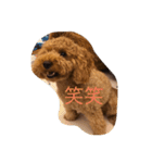 Cutie  Amber（個別スタンプ：12）