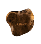 Cutie  Amber（個別スタンプ：14）
