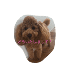 Cutie  Amber（個別スタンプ：15）
