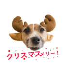 ジャックラーちゃん♡（個別スタンプ：8）