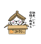 【いまい】あざらし侍（個別スタンプ：33）