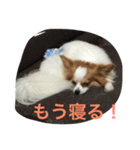 Rikus stamp（個別スタンプ：2）