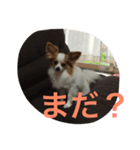 Rikus stamp（個別スタンプ：3）
