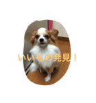Rikus stamp（個別スタンプ：4）