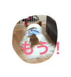 Rikus stamp（個別スタンプ：6）