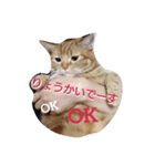 ito-chan-（個別スタンプ：3）