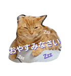 ito-chan-（個別スタンプ：6）