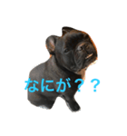 心が震える可愛さのボブ（個別スタンプ：7）