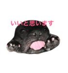 心が震える可愛さのボブ（個別スタンプ：8）