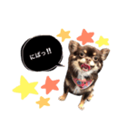 roizu（個別スタンプ：2）