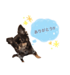 roizu（個別スタンプ：4）