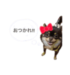 roizu（個別スタンプ：10）