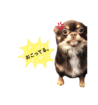 roizu（個別スタンプ：14）