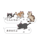 【あきお】猫だらけの吹き出し（個別スタンプ：2）