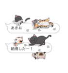 【あきお】猫だらけの吹き出し（個別スタンプ：9）