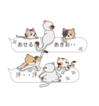 【あきお】猫だらけの吹き出し（個別スタンプ：36）