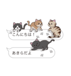 【あきら】猫だらけの吹き出し（個別スタンプ：2）