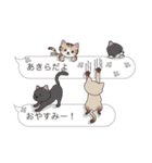 【あきら】猫だらけの吹き出し（個別スタンプ：3）