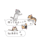 【あきら】猫だらけの吹き出し（個別スタンプ：15）