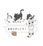 【あきら】猫だらけの吹き出し（個別スタンプ：20）