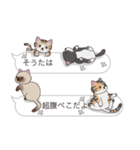 【そうた】猫だらけの吹き出し（個別スタンプ：16）