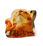 ネコの日課（個別スタンプ：7）
