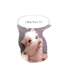 雫と雪の日常（個別スタンプ：9）