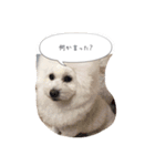 雫と雪の日常（個別スタンプ：11）