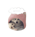 雫と雪の日常（個別スタンプ：14）