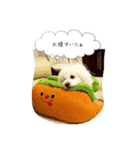 雫と雪の日常（個別スタンプ：21）